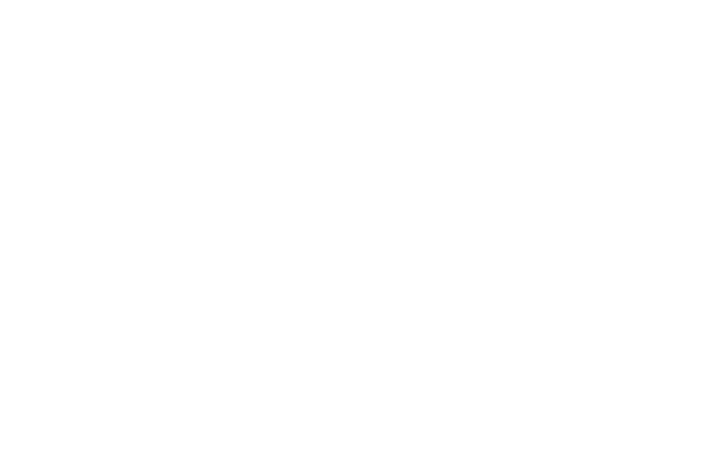 Tipsy Tiger